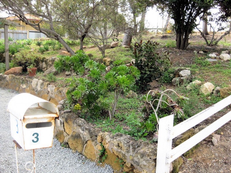 3 Asmus Street, Mannum SA 5238