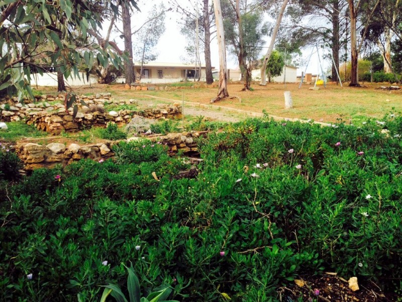 3 Asmus Street, Mannum SA 5238