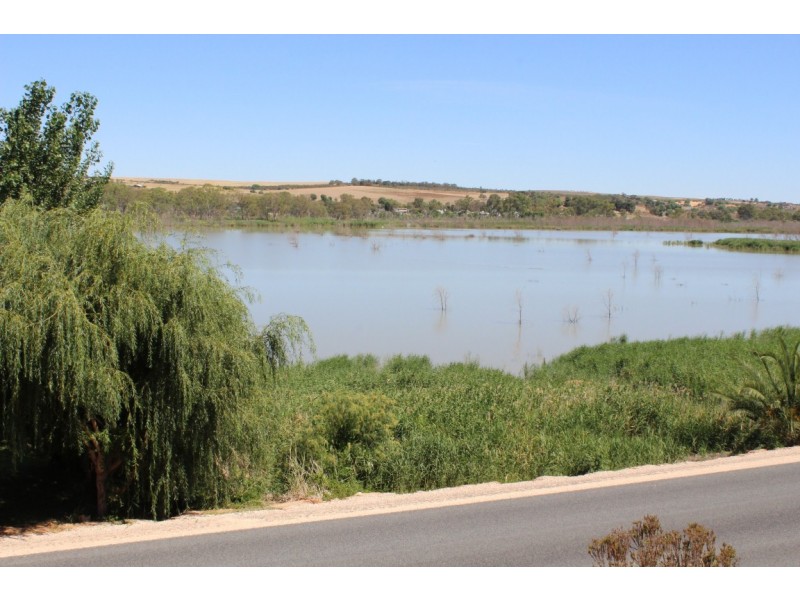 211 Purnong Road,, Mannum SA 5238