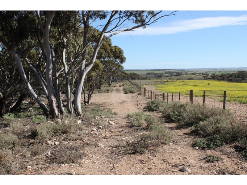 80 Long Gully Road, Mannum SA 5238