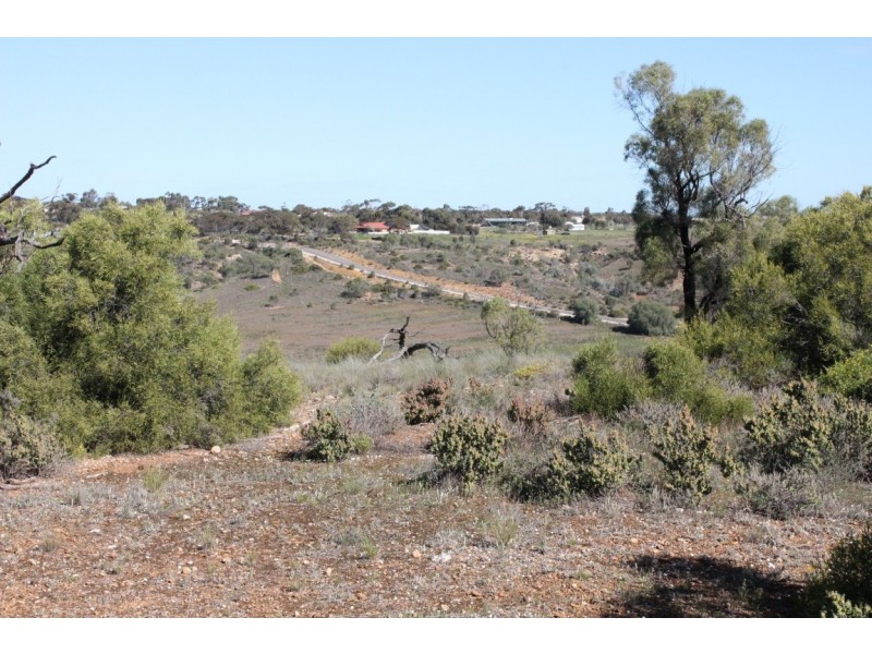 80 Long Gully Road, Mannum SA 5238