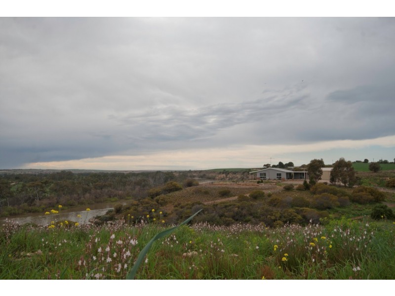59 Zadow Road, CALOOTE via, Mannum SA 5238