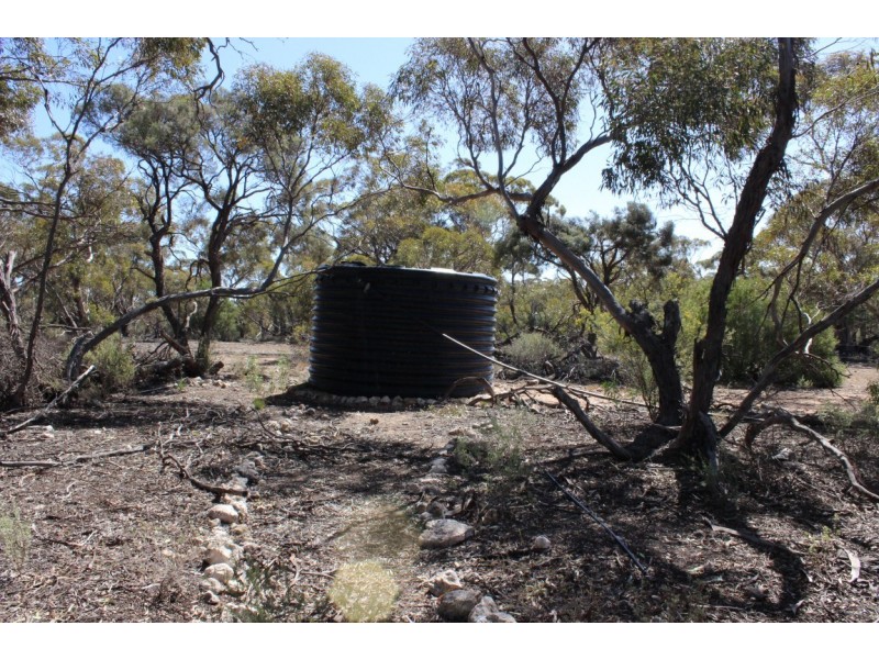 Allotment 61 Hundred of Fisher, Punyelroo SA 5354