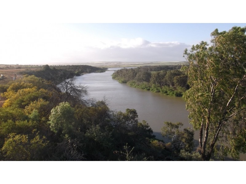 Lot 221 Zadow Road, Caloote SA 5254