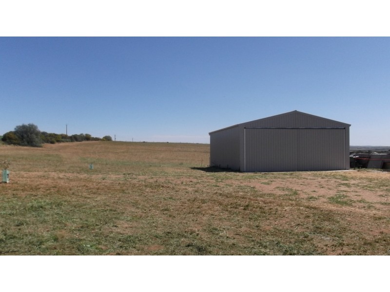 Lot 221 Zadow Road, Caloote SA 5254