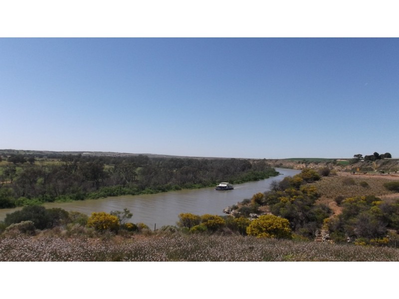Lot 221 Zadow Road, Caloote SA 5254