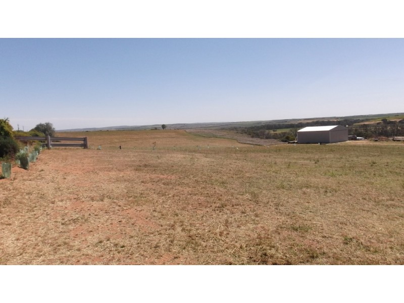 Lot 221 Zadow Road, Caloote SA 5254