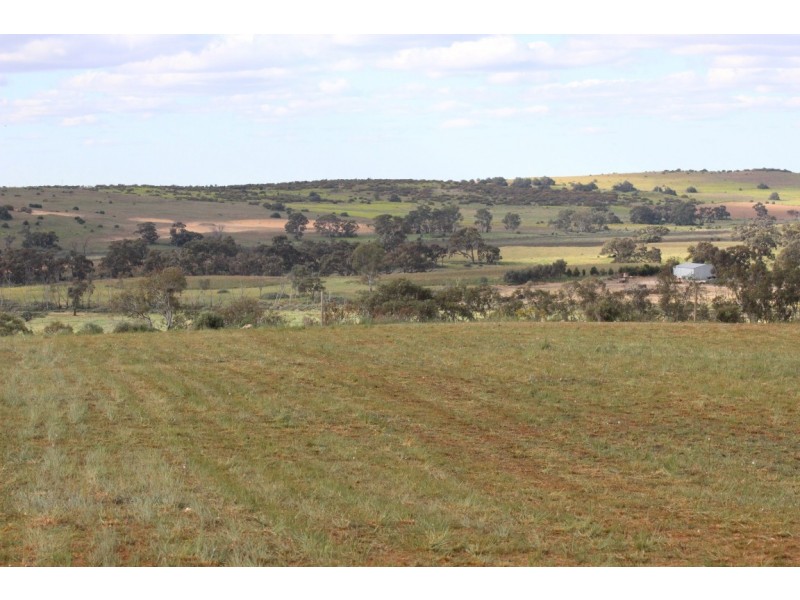 Lot 221 Zadow Road, Caloote SA 5254