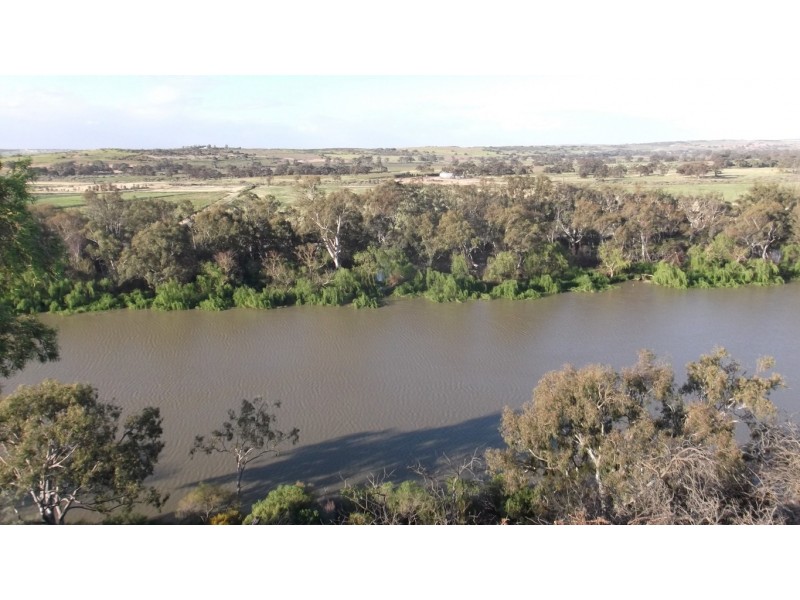 Lot 221 Zadow Road, Caloote SA 5254