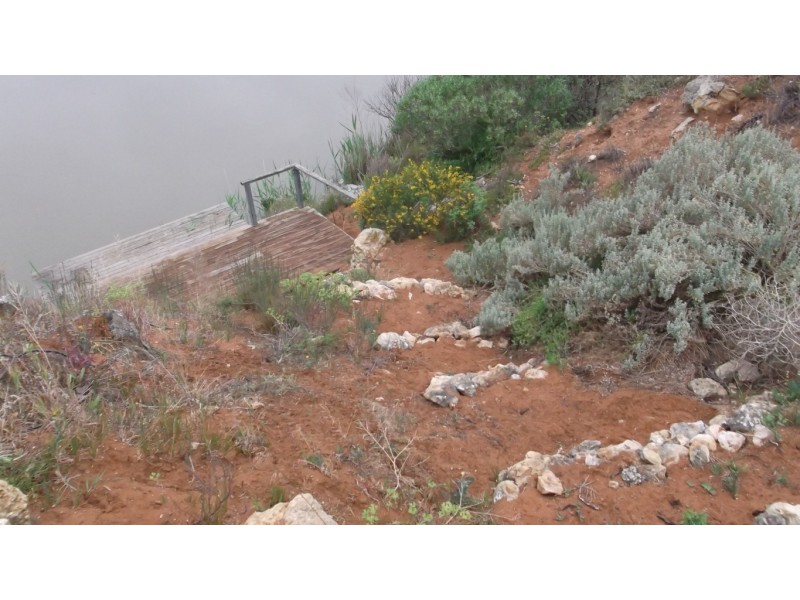 Lot 221 Zadow Road, Caloote SA 5254