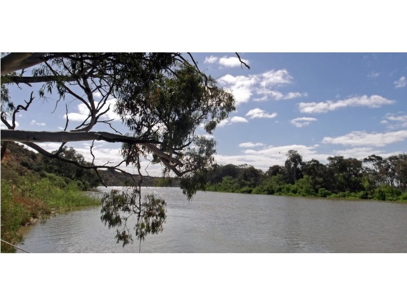 Lot 221 Zadow Road, Caloote SA 5254