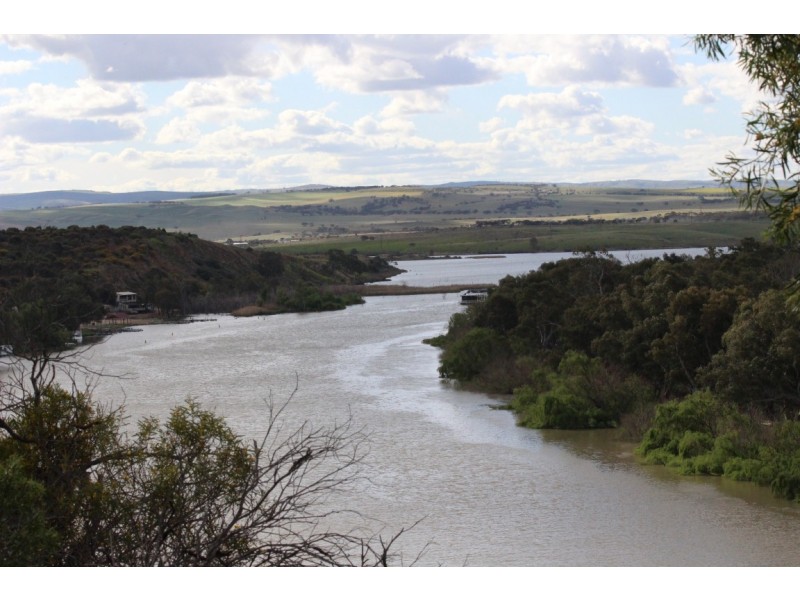 Lot 221 Zadow Road, Caloote SA 5254