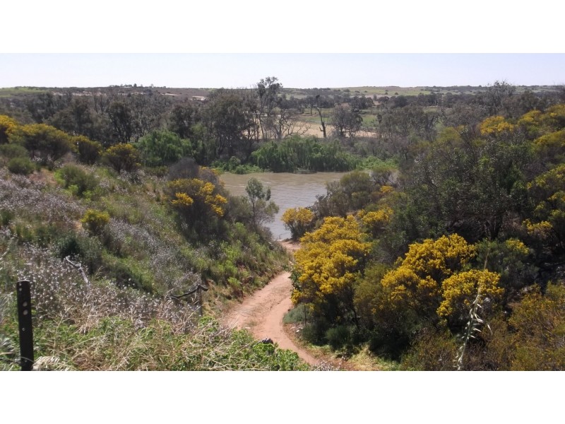 Lot 221 Zadow Road, CALOOTE via, Mannum SA 5238