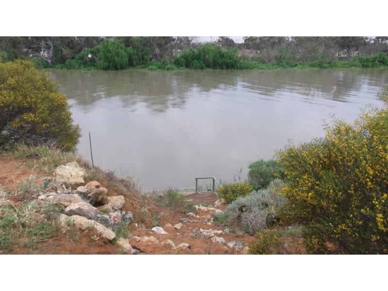 Lot 221 Zadow Road, CALOOTE via, Mannum SA 5238