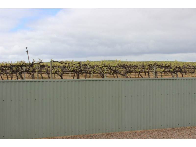 7503 Hunter Road, BOWHILL via, Mannum SA 5238