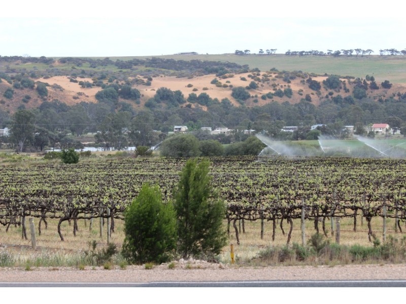 7503 Hunter Road, BOWHILL via, Mannum SA 5238