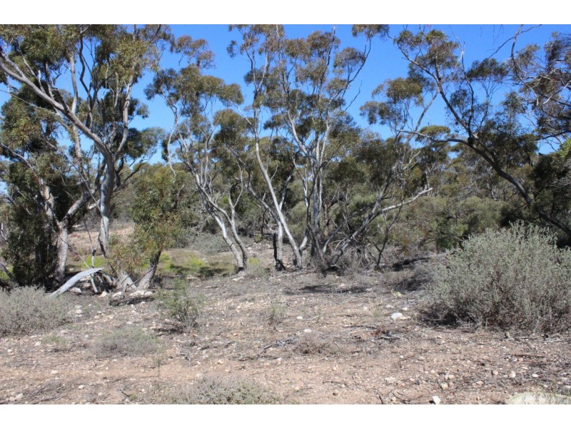 Allotment 61 Hundred of Fisher, PUNYELROO via, Mannum SA 5238