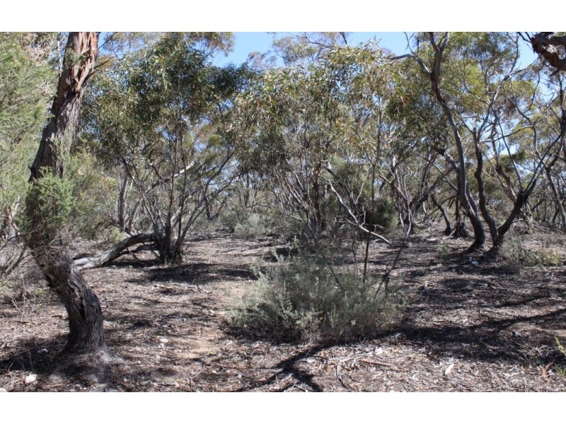 Allotment 61 Hundred of Fisher, PUNYELROO via, Mannum SA 5238