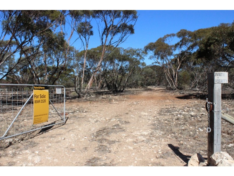 Allotment 20 Goondooloo Road, BOWHILL via, Mannum SA 5238