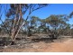 Allotment 20 Goondooloo Road, BOWHILL via, Mannum SA 5238