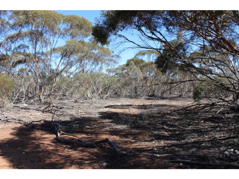 Allotment 20 Goondooloo Road, BOWHILL via, Mannum SA 5238