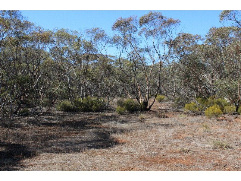 Allotment 20 Goondooloo Road, BOWHILL via, Mannum SA 5238