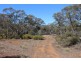 Allotment 20 Goondooloo Road, BOWHILL via, Mannum SA 5238