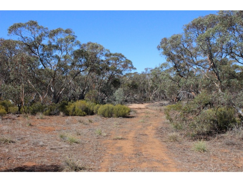 Allotment 20 Goondooloo Road, BOWHILL via, Mannum SA 5238
