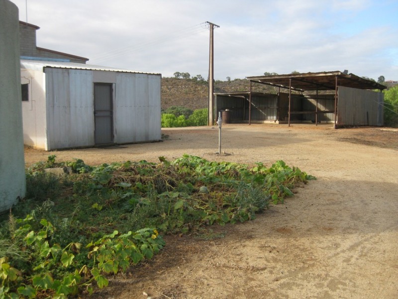Pt Sec 80 Long Gully Road, Mannum SA 5238