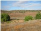 Pt Sec 80 Long Gully Road, Mannum SA 5238