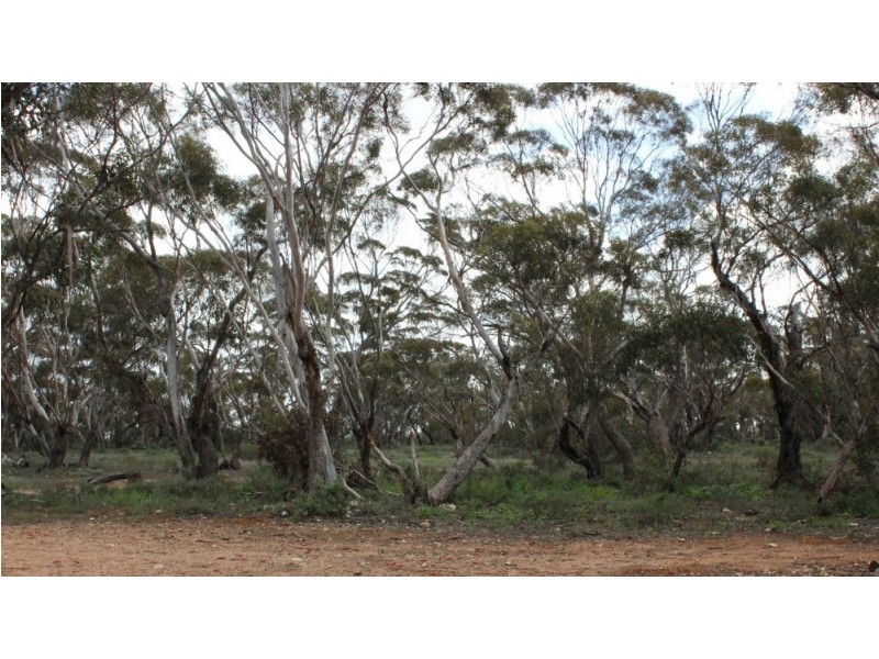 Section 94 Ballone Road, SEDAN via, Mannum SA 5238