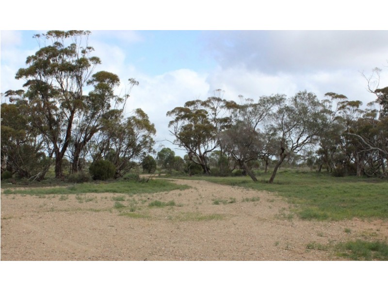 Section 94 Ballone Road, SEDAN via, Mannum SA 5238