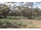 Section 94 Ballone Road, SEDAN via, Mannum SA 5238