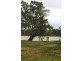 Lot 50 Scrubby Flat Shack Rd, SCRUBBY FLAT via, Mannum SA 5238