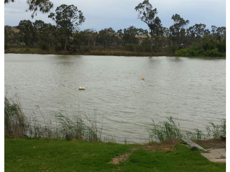 Lot 50 Scrubby Flat Shack Rd, SCRUBBY FLAT via, Mannum SA 5238