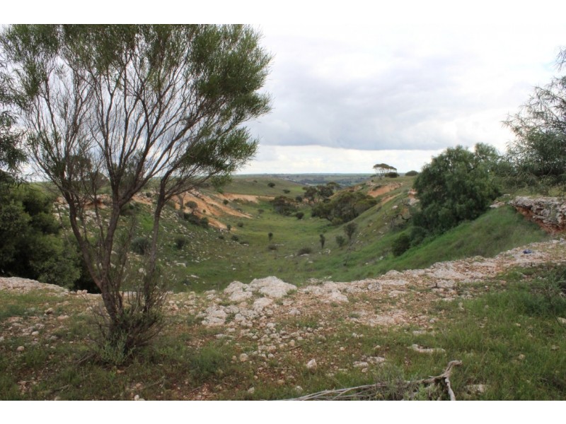 Lot 2 Purnong Rd, PURNONG via, Mannum SA 5238