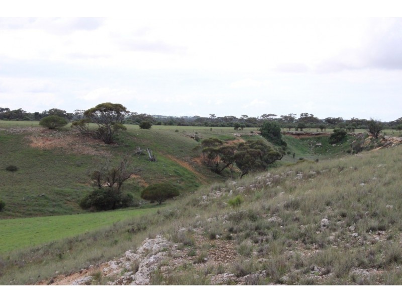 Lot 2 Purnong Rd, PURNONG via, Mannum SA 5238