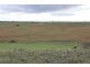 Lot 2 Purnong Rd, PURNONG via, Mannum SA 5238