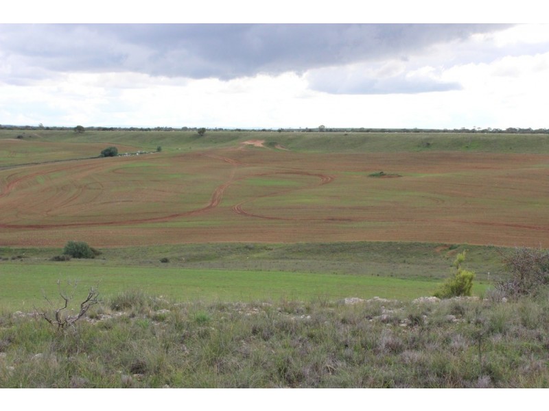 Lot 2 Purnong Rd, PURNONG via, Mannum SA 5238