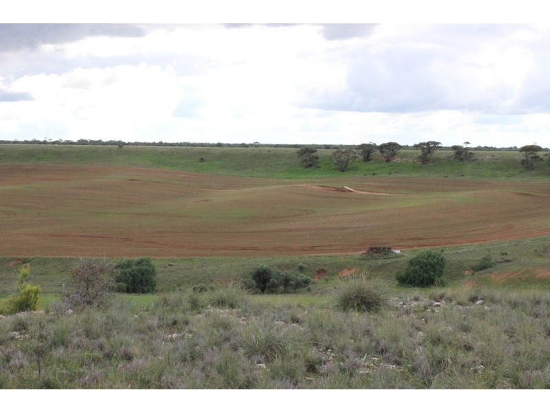Lot 2 Purnong Rd, PURNONG via, Mannum SA 5238