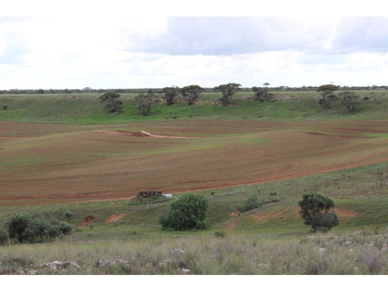 Lot 2 Purnong Rd, PURNONG via, Mannum SA 5238