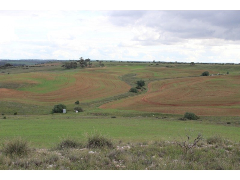 Lot 2 Purnong Rd, PURNONG via, Mannum SA 5238