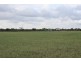 Lot 2 Purnong Rd, PURNONG via, Mannum SA 5238