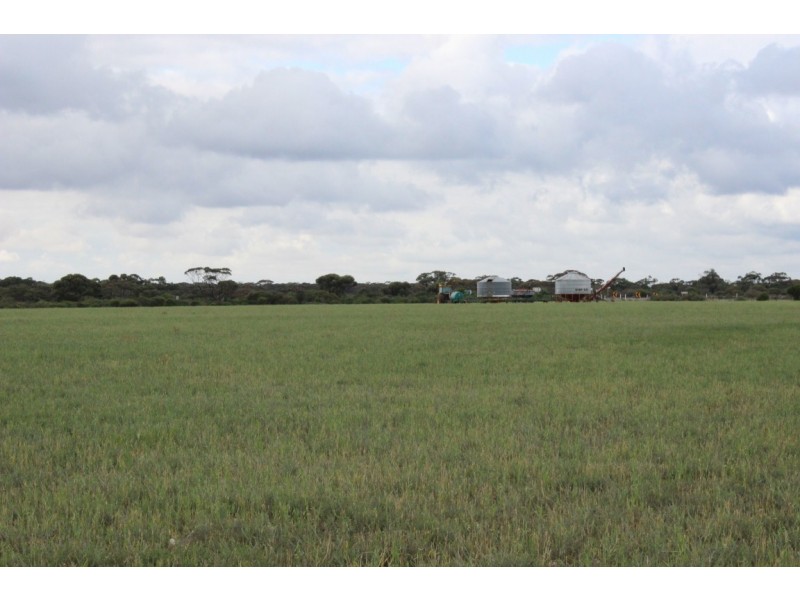 Lot 2 Purnong Rd, PURNONG via, Mannum SA 5238