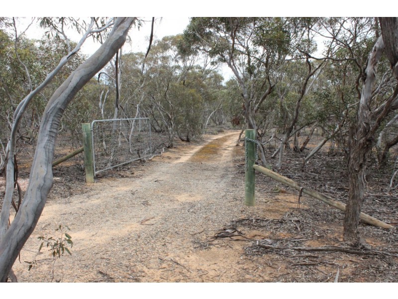 Section 457 Murraylands Road, WALKER FLAT via, Mannum SA 5238