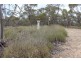 Section 457 Murraylands Road, WALKER FLAT via, Mannum SA 5238