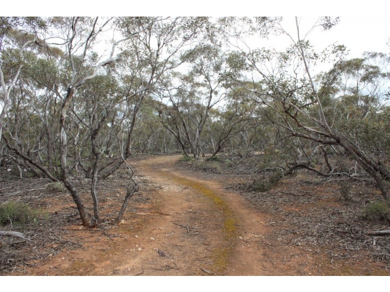Section 457 Murraylands Road, WALKER FLAT via, Mannum SA 5238
