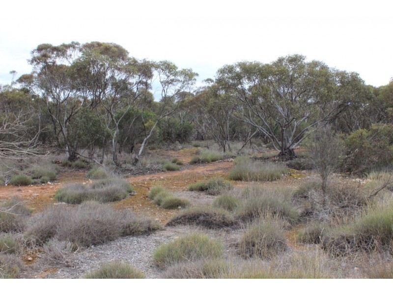 Section 457 Murraylands Road, WALKER FLAT via, Mannum SA 5238