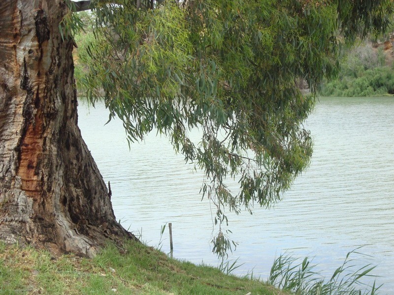 120 Providence Drive, Bowhill SA 5238