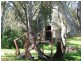 Lot 150 Gottwald Road, Williamstown SA 5351